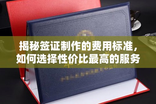 宜君揭秘签证制作的费用标准，如何选择性价比最高的服务？