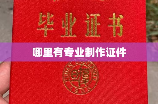 宜君哪里有专业制作证件