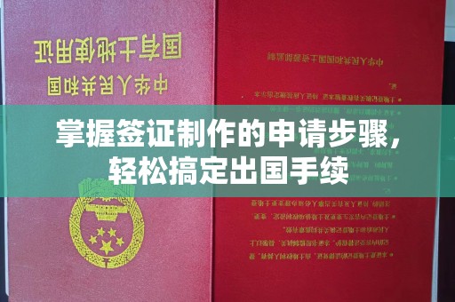 宜君掌握签证制作的申请步骤，轻松搞定出国手续